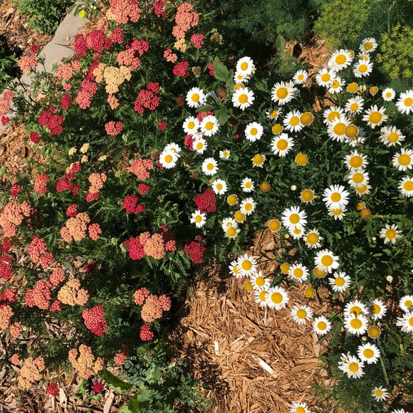 Meet your Posher, Gina - Picture 2 of 2